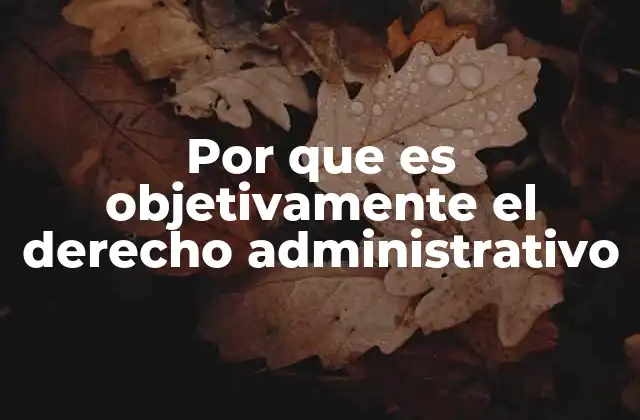 Por que es Objetivamente el Derecho Administrativo