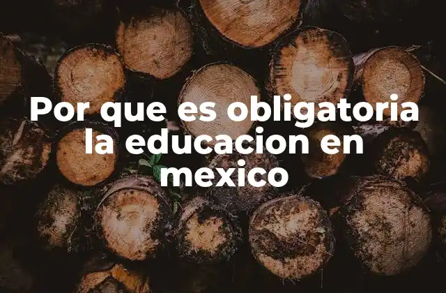 Por que es Obligatoria la Educacion en Mexico