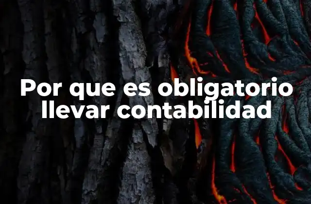 Por que es Obligatorio Llevar Contabilidad