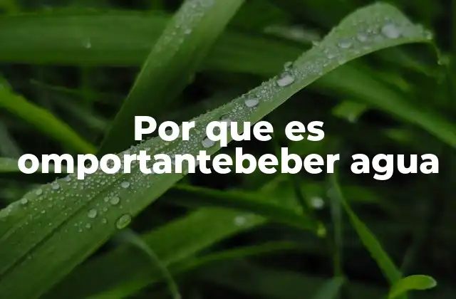 Por que es Omportantebeber Agua