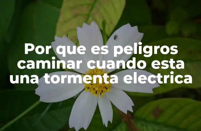 Por que es Peligros Caminar Cuando Esta una Tormenta Electrica
