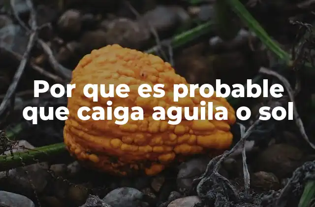 El equilibrio entre águila y sol en la teoría de la probabilidad