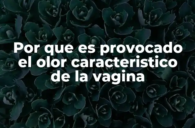 Por que es Provocado el Olor Caracteristico de la Vagina
