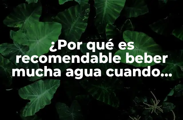 ¿por Qué es Recomendable Beber Mucha Agua Cuando Tenemos Fiebre?