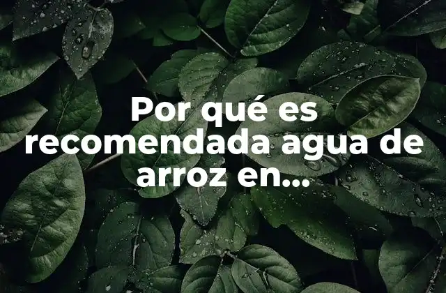 Por Qué es Recomendada Agua de Arroz en Deshidratación