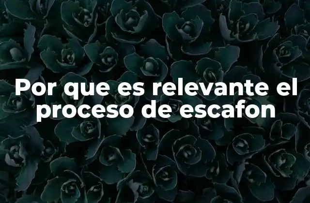 Por que es Relevante el Proceso de Escafon