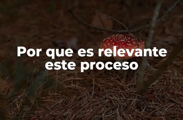 Por que es Relevante Este Proceso