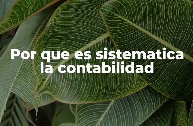 Por que es Sistematica la Contabilidad