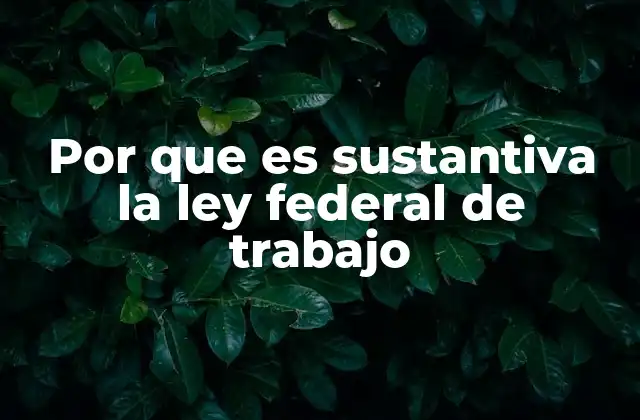 Por que es Sustantiva la Ley Federal de Trabajo