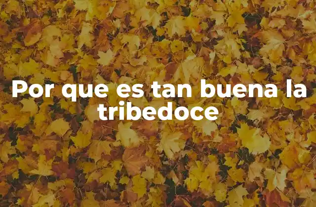 Por que es Tan Buena la Tribedoce