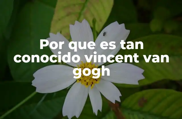 Por que es Tan Conocido Vincent Van Gogh 2 El legado emocional y artístico que trasciende su obra