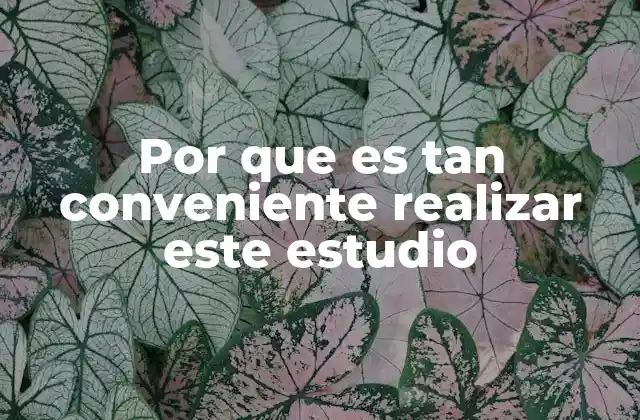 Por que es Tan Conveniente Realizar Este Estudio