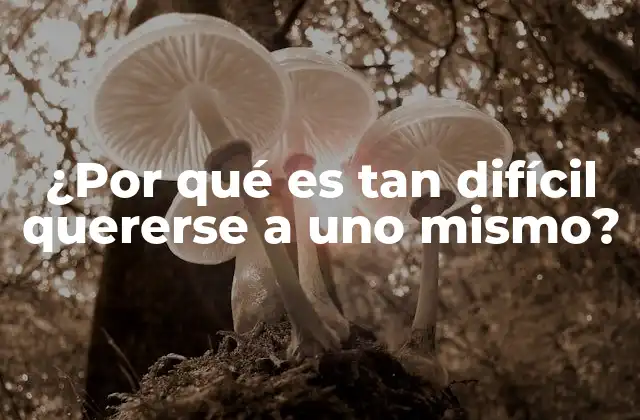 ¿por Qué es Tan Difícil Quererse a Uno Mismo?