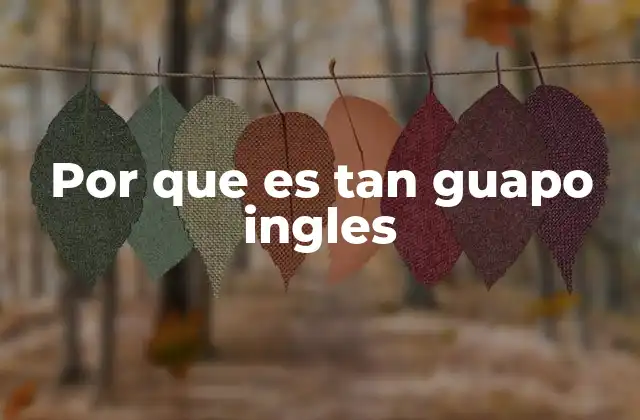 Por que es Tan Guapo Ingles