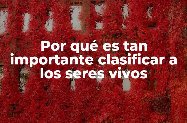 Por Qué es Tan Importante Clasificar a los Seres Vivos