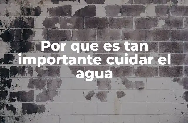 Por que es Tan Importante Cuidar el Agua