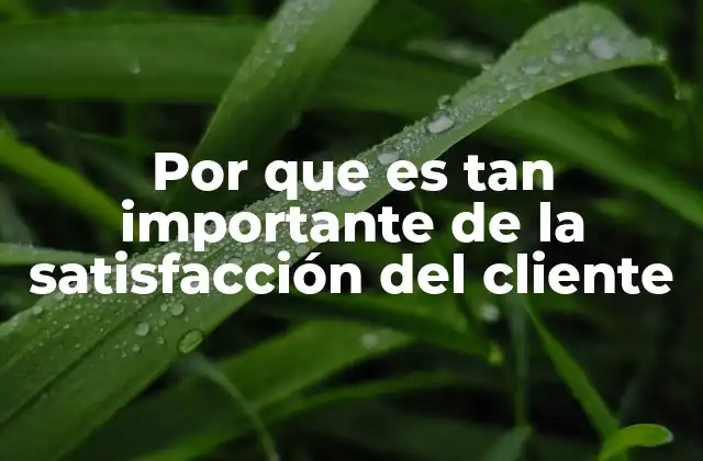 Por que es Tan Importante de la Satisfacción Del Cliente