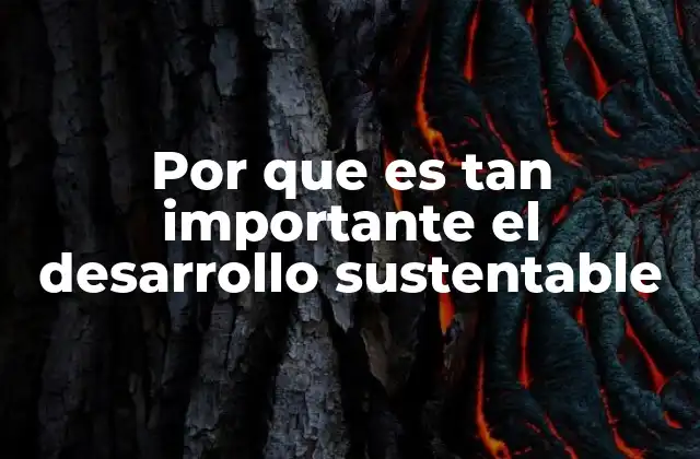 Por que es Tan Importante el Desarrollo Sustentable