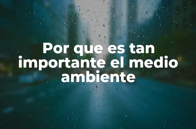 Por que es Tan Importante el Medio Ambiente