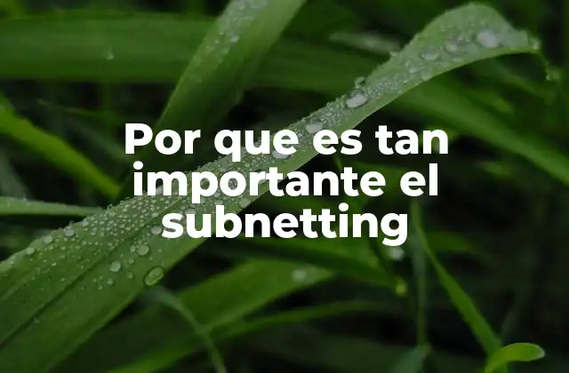 Por que es Tan Importante el Subnetting