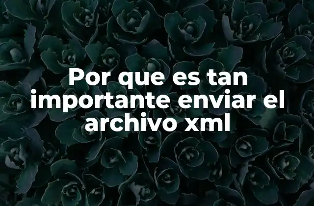Por que es Tan Importante Enviar el Archivo Xml