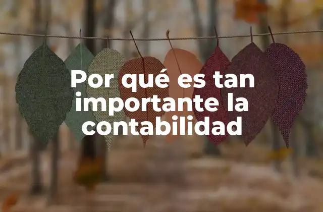 Por Qué es Tan Importante la Contabilidad