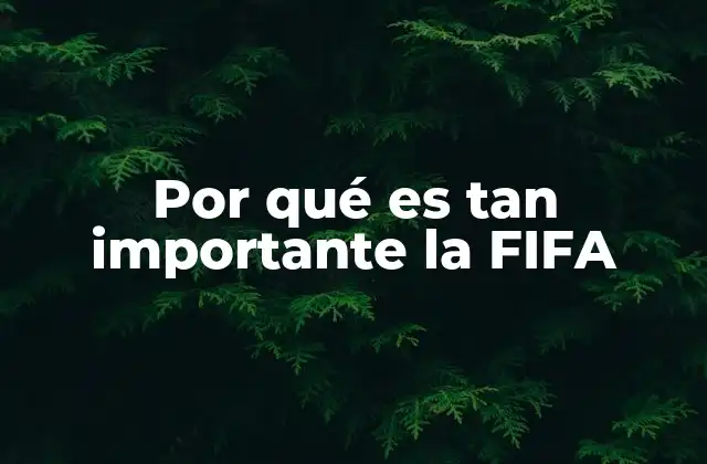Por Qué es Tan Importante la Fifa