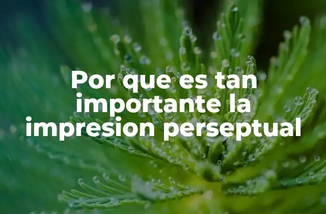 Por que es Tan Importante la Impresion Perseptual