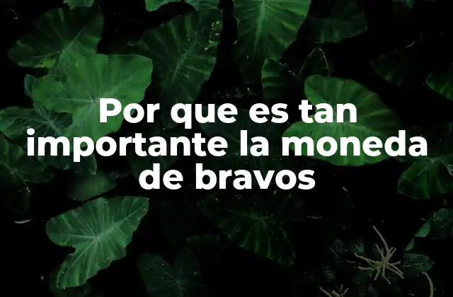 Por que es Tan Importante la Moneda de Bravos