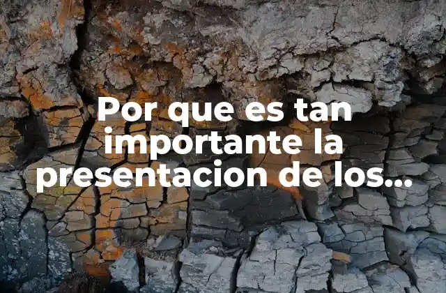 Por que es Tan Importante la Presentacion de los Platillos