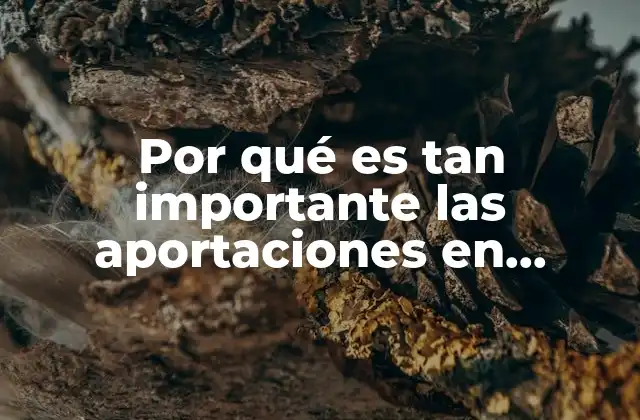 Por Qué es Tan Importante las Aportaciones en Alcohólicos Anónimos