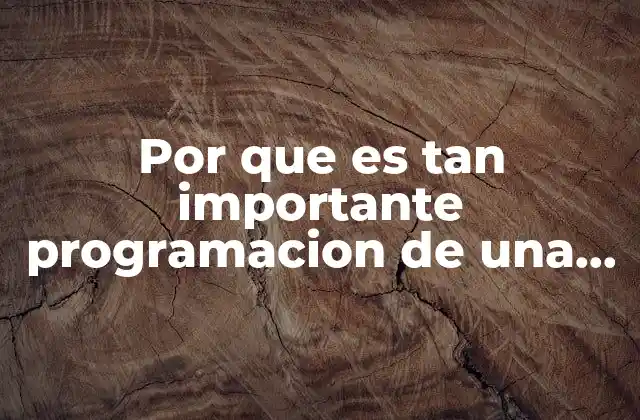 Por que es Tan Importante Programacion de una Interfaz