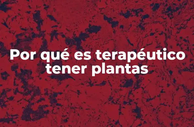 Por Qué es Terapéutico Tener Plantas
