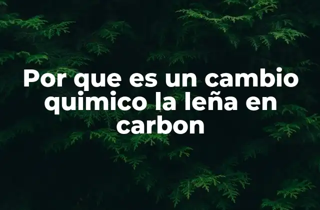 Por que es un Cambio Quimico la Leña en Carbon