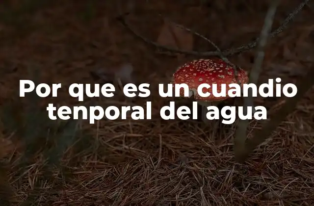 Por que es un Cuandio Tenporal Del Agua