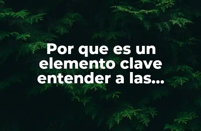 Por que es un Elemento Clave Entender a las Organizaciones
