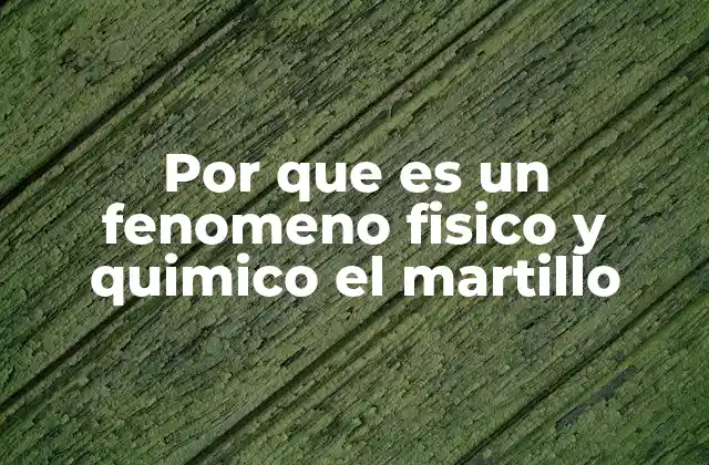 Por que es un Fenomeno Fisico y Quimico el Martillo