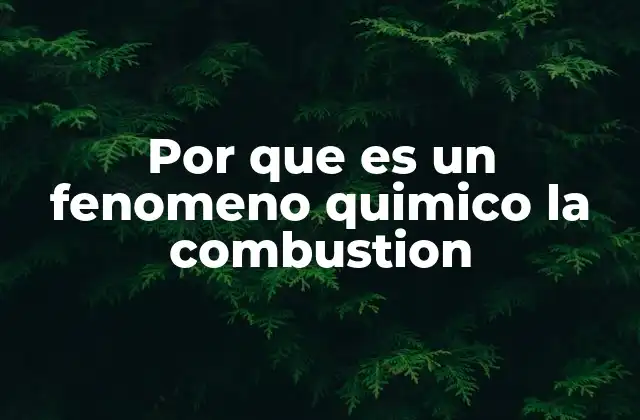 Por que es un Fenomeno Quimico la Combustion