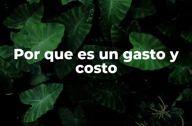 Por que es un Gasto y Costo