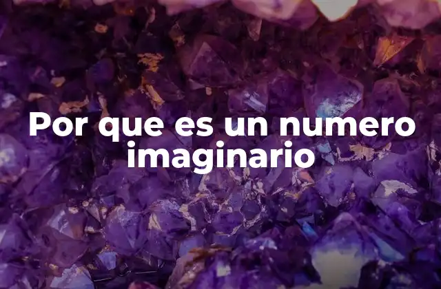 Por que es un Numero Imaginario