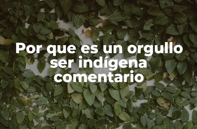 Por que es un Orgullo Ser Indígena Comentario 2 La importancia de preservar la identidad cultural indígena