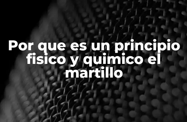Por que es un Principio Fisico y Quimico el Martillo