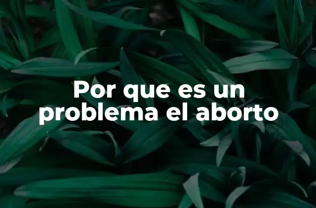 El debate entre vida y elección