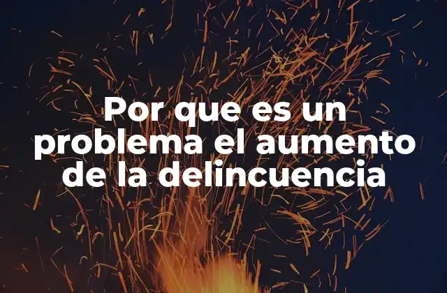 Por que es un Problema el Aumento de la Delincuencia