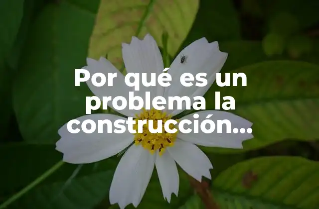 Por Qué es un Problema la Construcción Tradicional