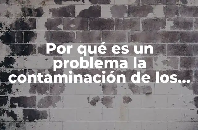 Por Qué es un Problema la Contaminación de los Ríos
