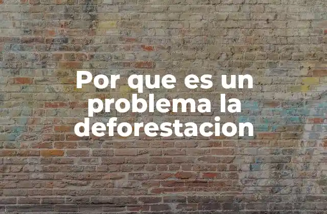 Por que es un Problema la Deforestacion