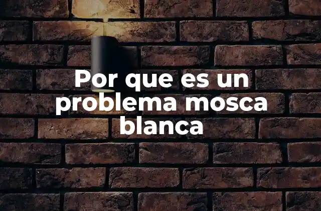 Por que es un Problema Mosca Blanca