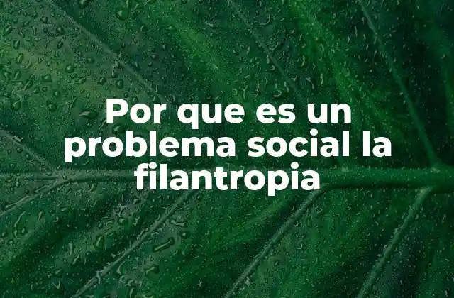 Por que es un Problema Social la Filantropia