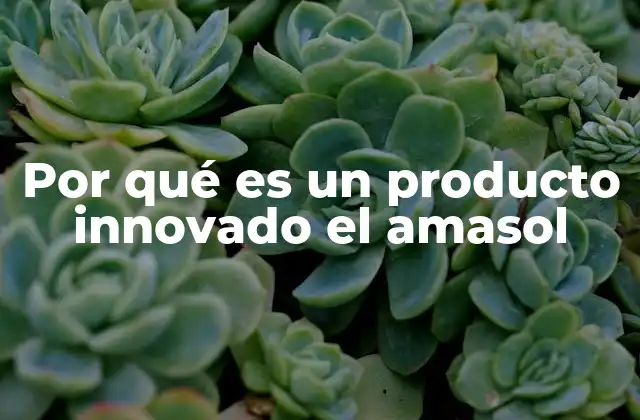 Por Qué es un Producto Innovado el Amasol